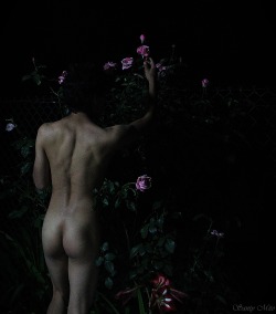 santymito:  Nude in rosal (self- portrait, Santy