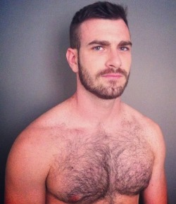 hairyblokes:  Lots of Hairy Blokes, Bears and Daddies.(submissions welcome, all only over 18 please)Follow me at Hairy Blokes.