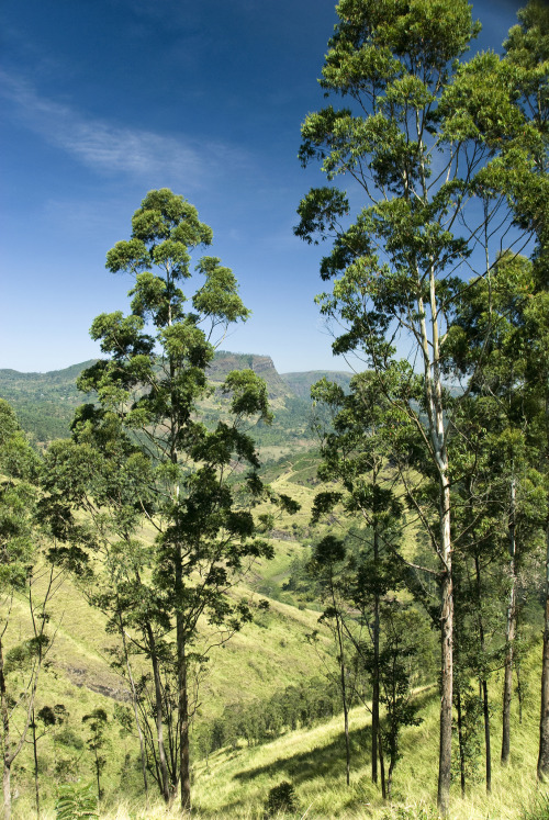 breathtakingdestinations:near Kandy - Sri Lanka (by Malcolm Browne) 