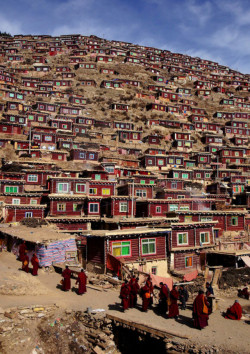 riccardo-posts:Street scene, Tibet