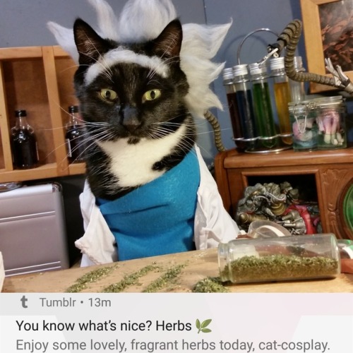 Well… Who Are We To Argue With Tumblr?