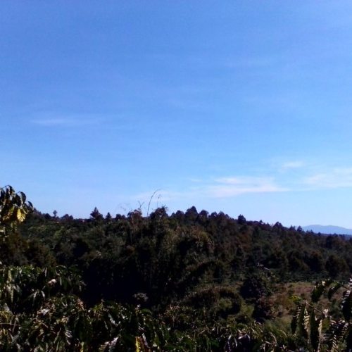 <p>#countryside #capture #Dabin #ciaoumah #google #photos</p>