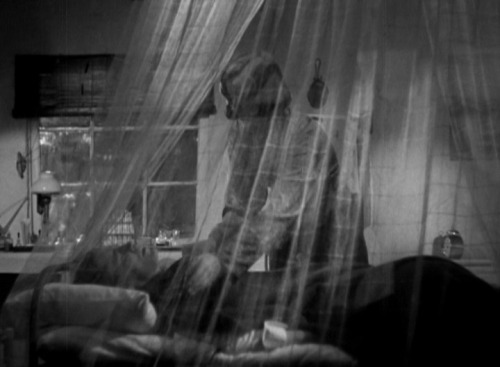  The Painted Veil (1934) - Richard Boleslawski Cinematographer: William H. Daniels