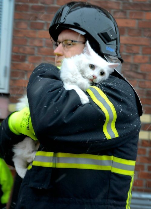 Porn Sweet relief (a fireman carries a rescued photos