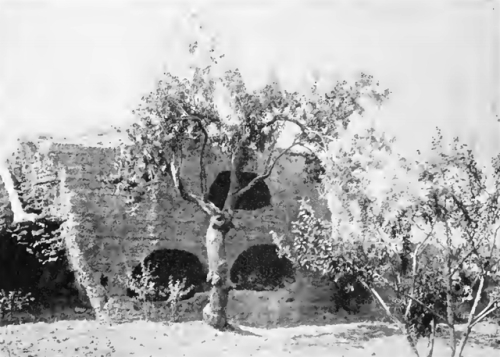 Sicilyhas a double, subterranean lifeCatacombs in Akrai, Palermo, Siracusa, AgrigentoJoseph Führer, 