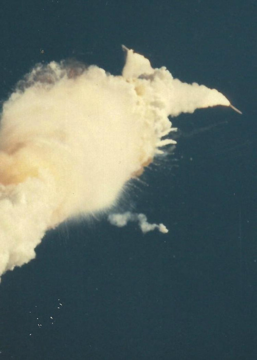 humanoidhistory: The Challenger disaster, porn pictures