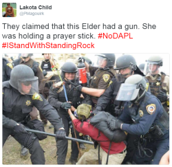 thetrippytrip:    Five, FIVE big white men in riot gear, slamming tiny native woman with a prayer stick.. 
