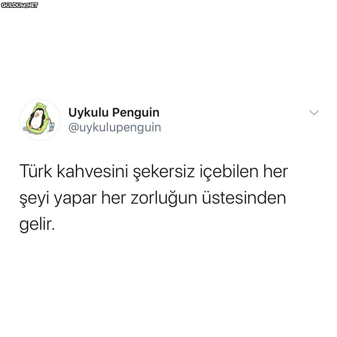 Uykulu Penguin A...