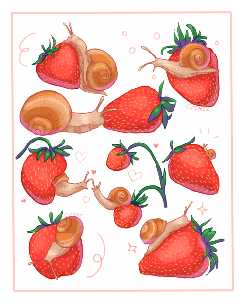 citree:Snails n’ strawberries ✨