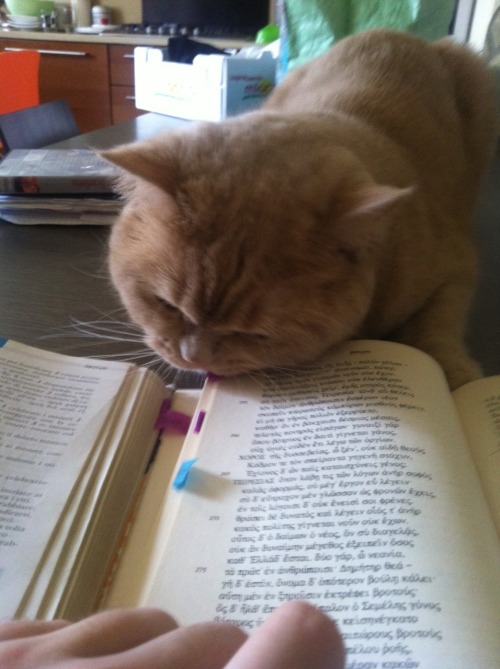 Vergil definitely likes the Bacchae.