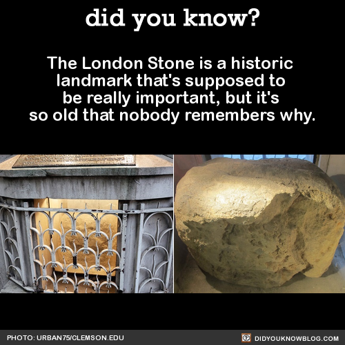 lolfactory:  This is a real thing and I love it. ➨ funny blog [via imgur]