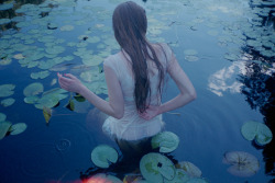 euo:  Water Lilies 