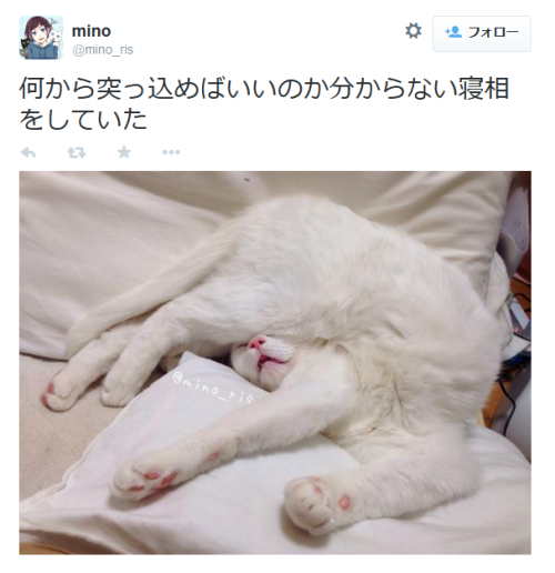 highlandvalley:  minoさんはTwitterを使っています: “何から突っ込めばいいのか分からない寝相をしていた http://t.co/hcwjYszwu7”
