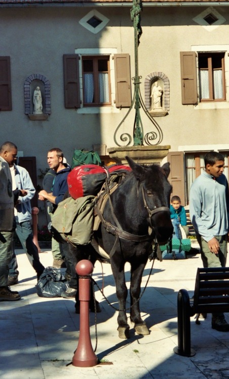 Chemin de Stevenson: Âne, randonneurs et des bagage, Le Bastide-de-Puylaurent, Lozère, 2005.Robert L