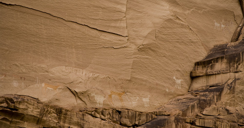 ancientart:Anasazi and Navajo petroglyphs, cliff dwellings, and White House ruin at the Canyon de Ch
