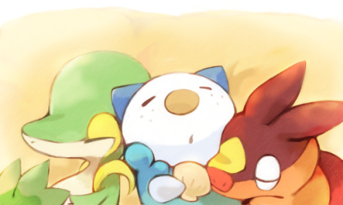 all-that-is-pokemon:mochi.