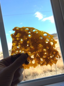 daily-slabs:  Cherry pie nug run 