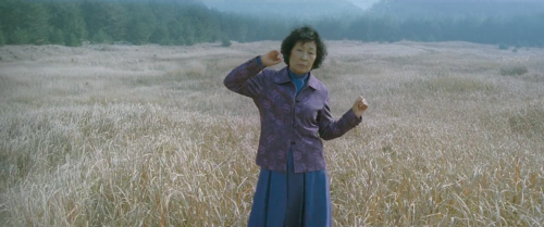 kim hye-ja in mother (2009) / dir. bong joon-ho