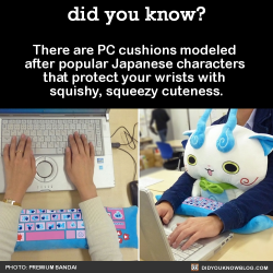 did-you-kno:  There are PC cushions modeled