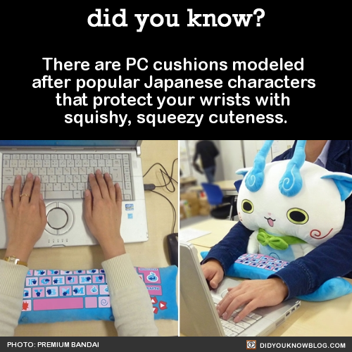 did-you-kno:  There are PC cushions modeled adult photos