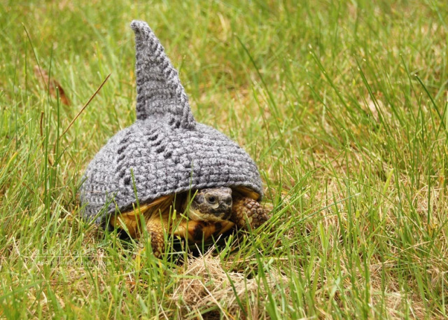 The Stegotortoise - Crochet Cosplay Is For Tortoises Too! Get the patterns! 👉  🐢