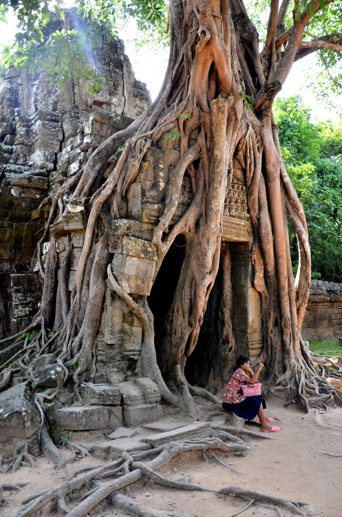 Ta Som - The Minor, Mystery Temple of Angkor, Cambodia