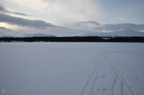 cross country skiing