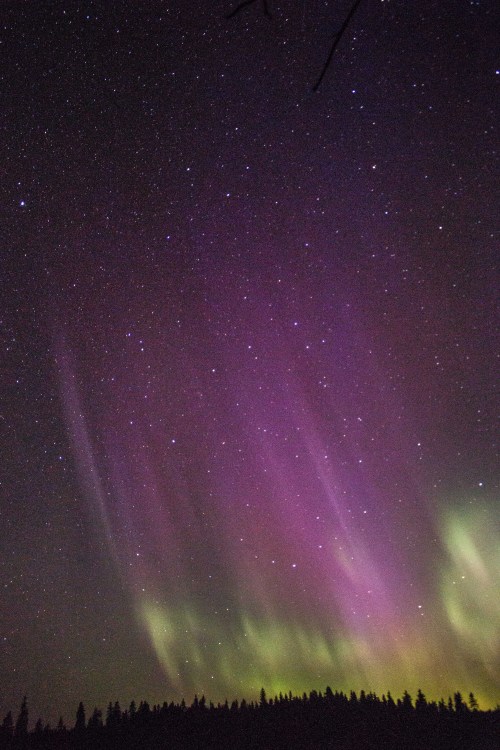 scatterbrainery:Northern lights over Nyrölä, Finland. My cousin called me last night and said “There