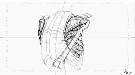 kevinator201:marianarira:All the torso animated studies.This is just fascinating