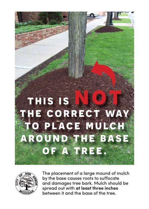 theseangt:my city will drag a bitchthis is really true though pleaaase don’t do volcano mulching! al