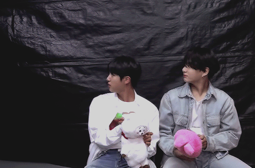 The Battle Over The Cutest Throne ('-) (trans)