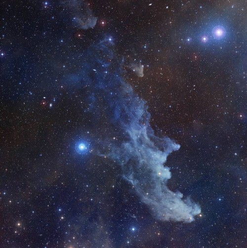 the-wolf-and-moon:IC 2118, Witch Nebula