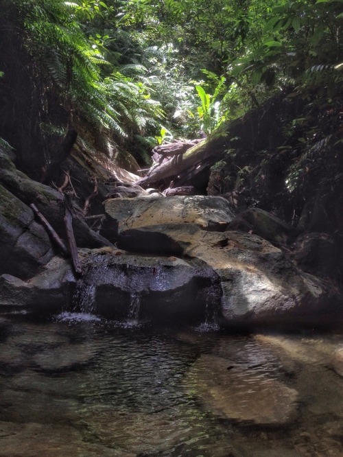 Turure Watersteps, Cumaca/Valencia Trinidad. Copyright 2017 Troy De Chi. All rights reserved.