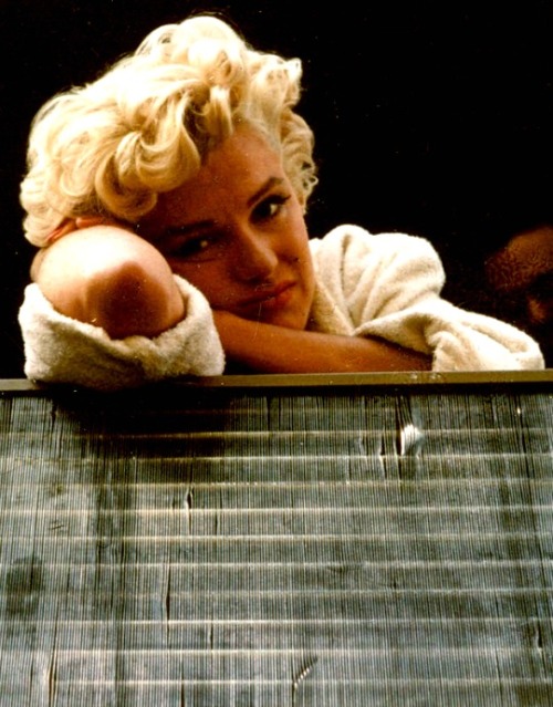 alwaysmarilynmonroe: The Seven Year Itch (1955)