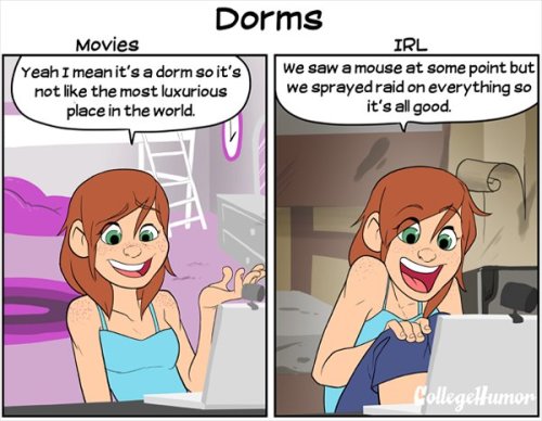 quasi-normalcy: sinfulnoodle: aprillikesthings: senakoko: pr1nceshawn: Why Movies About College are 