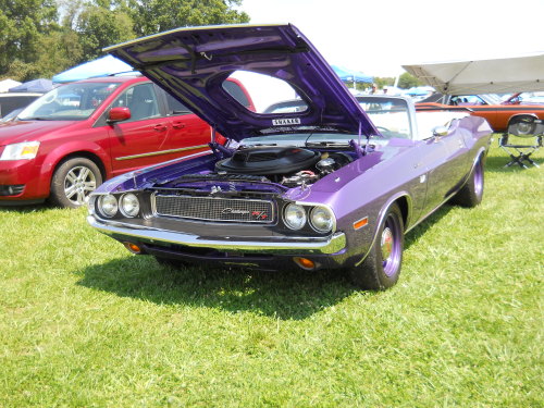 musclecardreaming:
“1970 Dodge Challenger
”