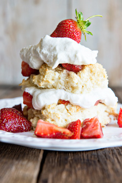 do-not-touch-my-food:  Strawberry Shortcake