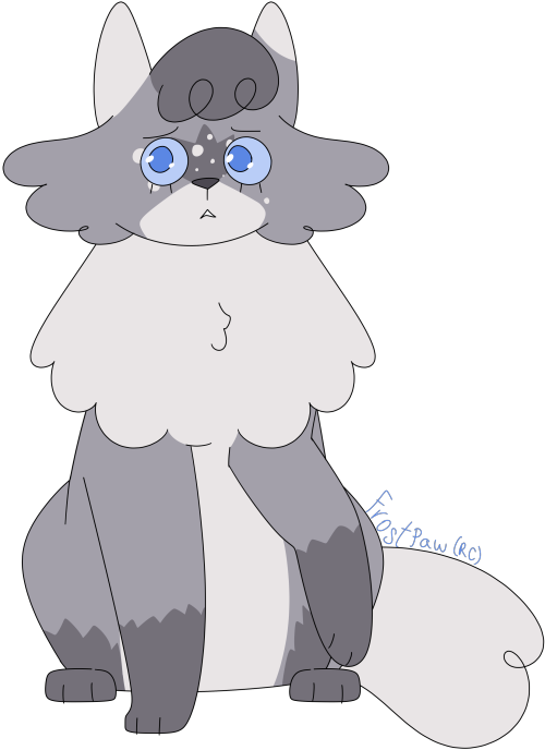 [Image Description: A digital drawing of Frostpaw from the Warriors books. She is a gray cat with la