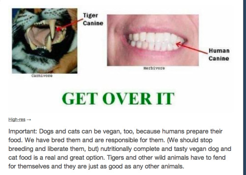 themanwhosoldhisbeard: fuckyeahdiomedes: littlecatlady: lord-kitschener: The teeth are different bec