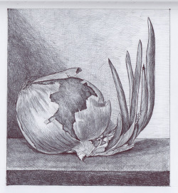 sjaakkaashoek: Sjaak Kaashoek Tumblr Onion Ballpoint in sketchbook 