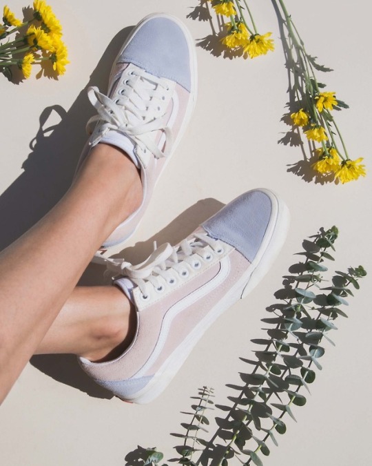 pastel vans tumblr