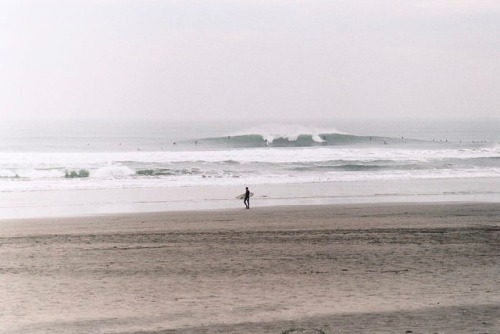 shakasandsinglefins:OB. Leica, 35mm film. #kodakportra (at Ocean Beach)