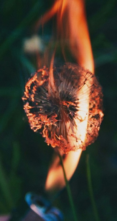 magics-secrets:  cozy