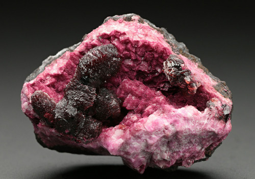 Cobaltoan Talmessite with Cobaltoan Dolomite - Bou Azer, Tazenakht, Ouarzazate Province, Souss-Massa