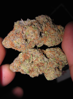 thekushtribe-deactivated2015062:  Purple