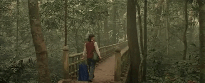 12dd6413c4b6a7425e48e31ac890560851637a69.gifv