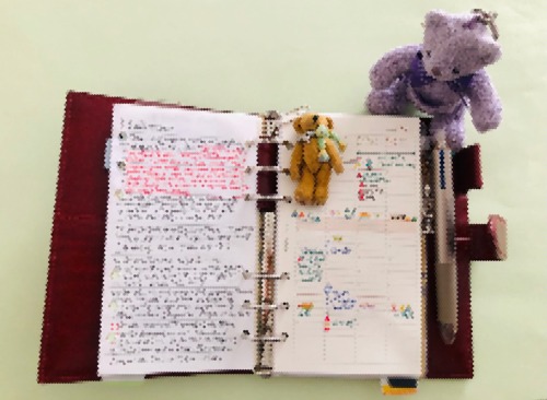 Planner And Teddy Bear Of Last Week