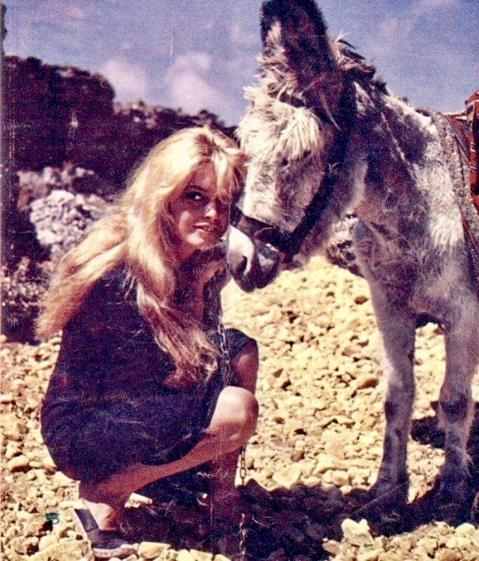 weirdlandtv:Brigitte Bardot.