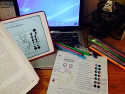 ixnayontheupidstay:  Notes are more fun when they’re colorful. 