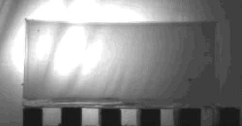 the-future-now:  This is what a bullet does to your body When someone gets shot in